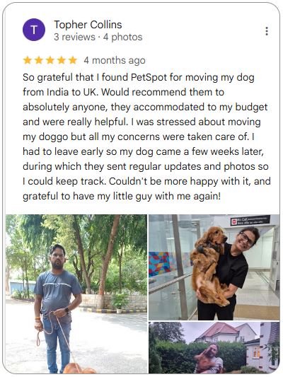 Google Review
