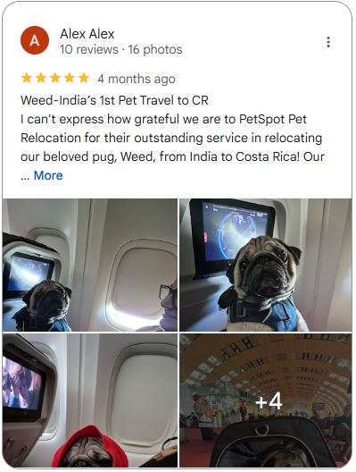 Google Review