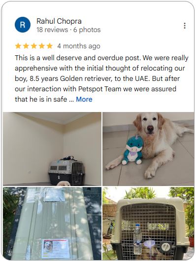 Google Review